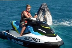 Asyik Main Jetski, Turis di Australia Difotobom Bayi Paus Bungkuk Lucu