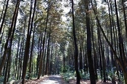 Manfaatkan Libur Sekolah Dengan Berwisata ke Gunung Pancar di Bogor