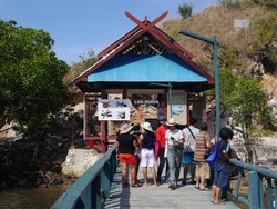 Begini Rasanya Bertemu Komodo di Pulau Rinca