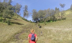Jatuh Cinta Pada Tanjakan Cinta Gunung Semeru