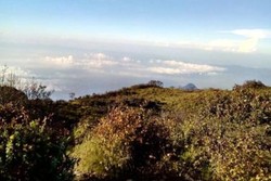 Pemandangan dari Puncak Gunung Lawu, Keren Banget!