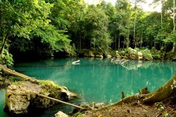 Selain Labuan Cermin, Kaltim Juga Punya Danau Nyadeng