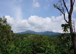 Liburan yang Segar di Air Terjun Denu Madiun