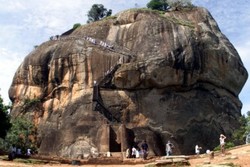 Diserang Kawanan Tawon, Turis di Sri Lanka Masuk Rumah Sakit