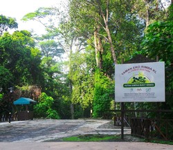 Hutan Belantara di Tengah Kota Kuala Lumpur, Malaysia
