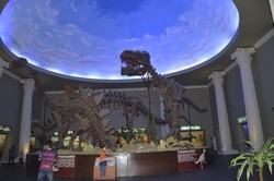 Berburu Fosil Dinosaurus di Museum Satwa, Batu
