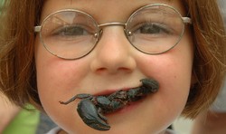 Festival Unik di AS Ini Sajikan Kuliner Serba Serangga