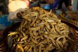 Ikan Teri dan Hasil Laut, Camilan nikmat Khas Pangandaran