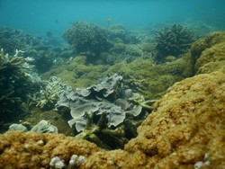 Seperti Ini Serunya Petualangan 2 Hari di Pulau Sangiang