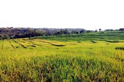 Pesona Keindahan Alam Cirebon yang Jarang Orang Tahu