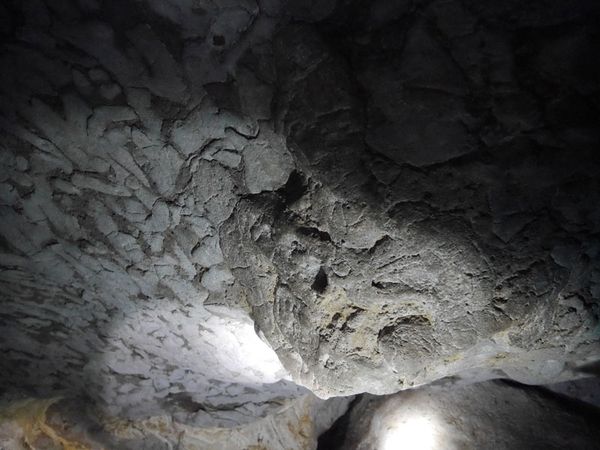 Penampakan Fosil Penyu di Gua Batu Cermin Flores