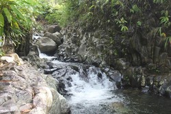 Lubuak Batingkek yang Menyegarkan di Padang