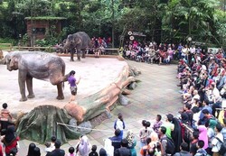 PUTRI Minta Pemerintah Pusat & Daerah Atasi Masalah di Taman Rekreasi