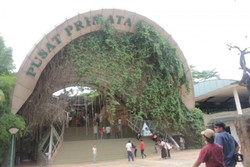 Mengenal Primata Lebih Dekat di Schmutzer