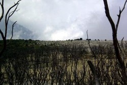 Menaklukkan Gunung Papandayan di Akhir Pekan