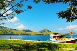Menjelajahi Indahnya Pulau Komodo di NTT