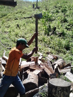 tetesan keringat hidup