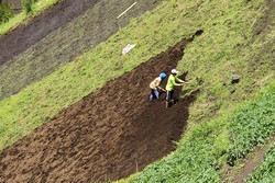Bertani di kemiringan