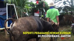 Idul Adha Kali Ini, Sapi Bali Lebih Diminati Konsumen