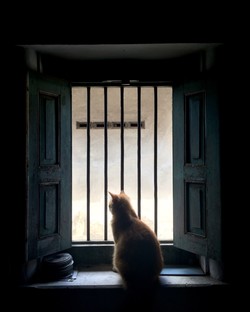 Tiada Daya Sampaikan Rindu