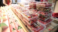 Strawberry Mochi, Street Food yang Tidak Boleh Dilewatkan di Korea