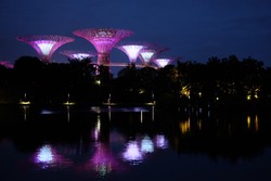 Garden bay the bay night view