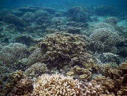 Ini masih di Jakarta loh...