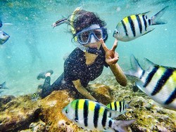 akuarium semesta pantai nglambor