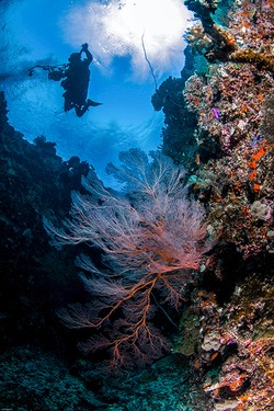 Cave Pulau Rani Biak Papua