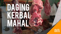 Harga Daging Kerbau Melejit Bikin Menjerit