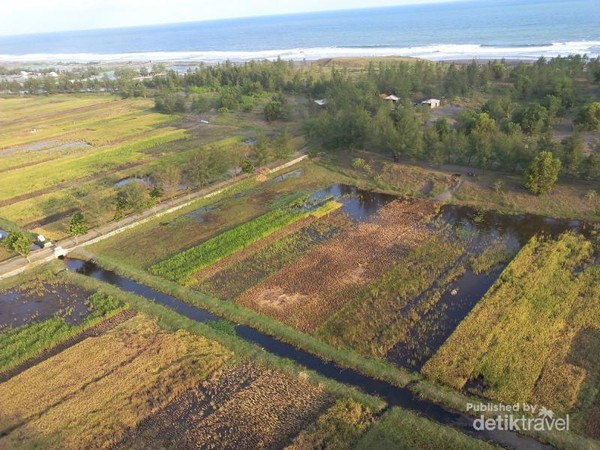 Kombinasi laut, alam yang hijau, lahan bercocok tanam serta perikanan yang ada di sekitar menara suar Ketawang