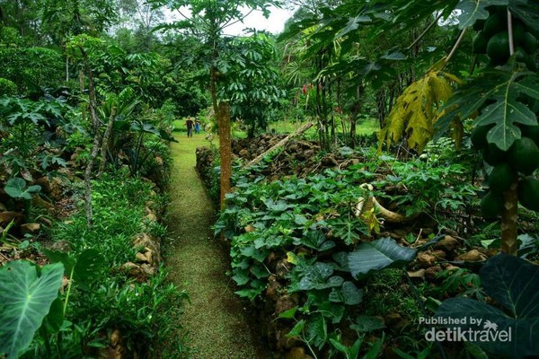 Tanaman buah dan sayuran di antara bebatuan Tanaman buah dan sayuran di antara bebatuan