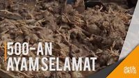 Seribuan Ayam Mati Jadi Korban Tanah Longsor di Tasikmalaya