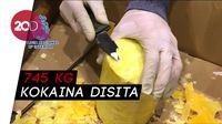 Terbongkar! Motif Penyelundupan Kokaina dalam Nanas