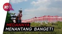 Serunya Menikmati Panorama Pantai Buyutan dengan Paralayang