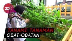 Inspiratif! Puskesmas di Parepare Manfaatkan Lahan Jadi Apotek Hidup