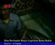 Ikan Berkepala Buaya Gegerkan Rawa Badak 