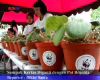 Sampah Kertas Diganti dengan Pot Begonia