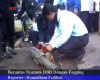 Berantas Nyamuk DBD Dengan Fogging