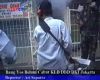 Bang Yos Belum Cabut KLB DBD DKI Jakarta