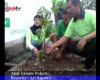 Aksi Tanam Pohon 