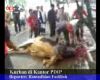 Kurban di Markas PDIP