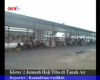 Kloter 2 Jamaah Haji Tiba di Tanah Air
