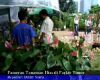 Pameran Tanaman Hias di Parkir Timur