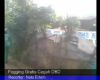 Fogging Gratis Cegah DBD