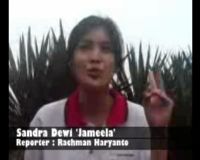 Sandra Dewi Jameela