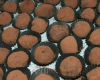 Chocolate Truffle 