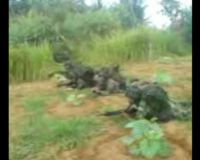 Latihan Perang TNI 2008 di Singkawang