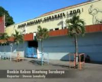Bonbin Kebun Binatang Surabaya