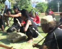 To Wana, Masyarakat Penghuni Hutan dari Morowali